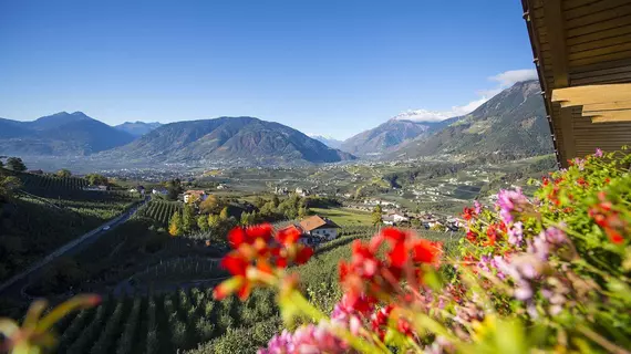 Residence Winzerhohe | Trentino-Alto Adige - Güney Tirol (il) - Schenna