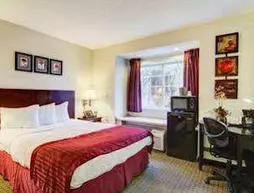 Jacksonville Plaza Hotel and Suites | Florida - Jacksonville (ve civarı) - Jacksonville