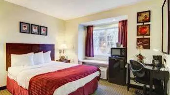 Jacksonville Plaza Hotel and Suites | Florida - Jacksonville (ve civarı) - Jacksonville