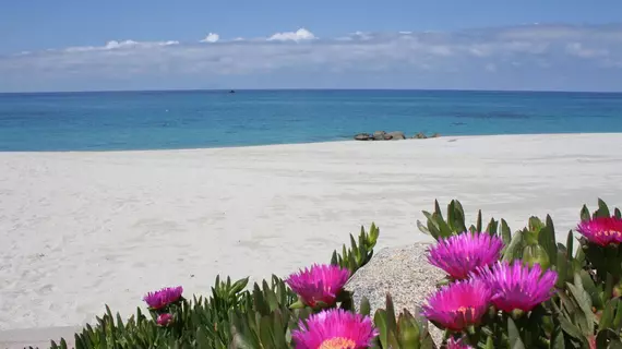 Borgo Donna Canfora | Calabria - Vibo Valentia (vilayet) - Ricadi - Torre Ruffa