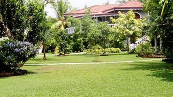 Bougain Villa by Tree | Kalutara Bölgesi - Beruwela - Kaluwamodara