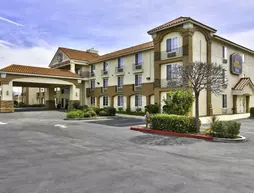 Best Western Plus Salinas Valley Inn & Suites | Kaliforniya - Monterey (ve civarı) - Salinas