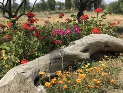 Cabana Toros Pintos | Kuzey Baja California - Ensenada - Ensenada (ve civarı) - Valle de Guadalupe