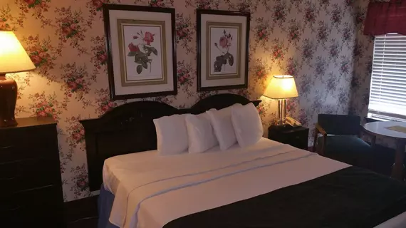 Branson Victorian Inn | Missouri - Branson (ve civarı) - Branson - Branson Theater District