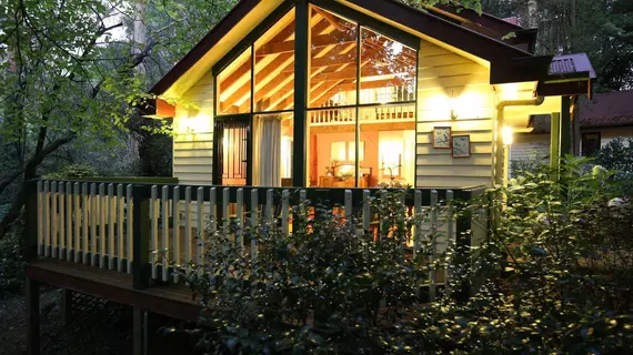 Cambridge Cottages Bed and Breakfast | Victoria - Melbourne (ve civarı) - Olinda