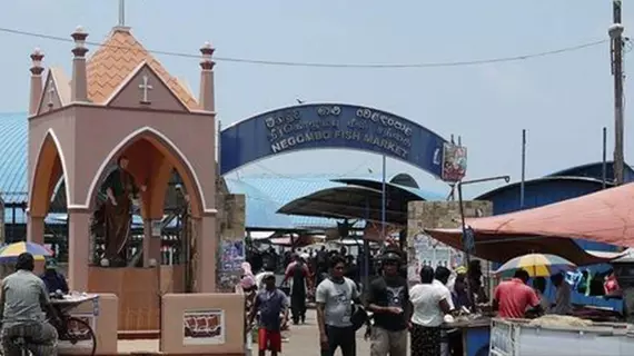 HOUSE OF SEYA | Gampaha Bölgesi - Negombo