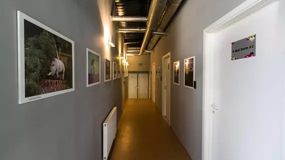 Fabrika Hostel & Gallery | Vilnius (ve civarı) - Vilnius