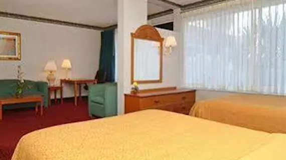 Quality Inn Central Clearwater | Florida - St. Petersburg - Clearwater (ve civarı) - Clearwater