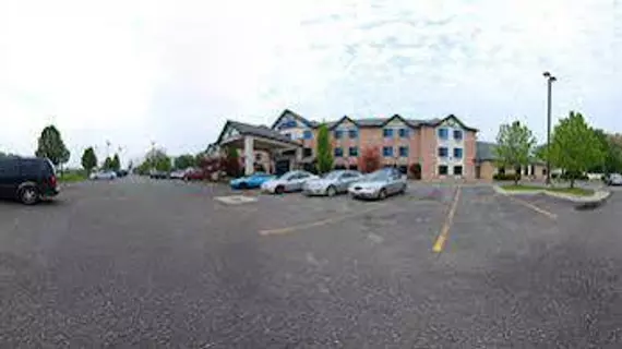 COMFORT INN & SUITES | Michigan - Detroit (ve civarı) - Taylor