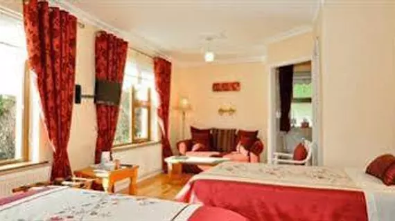 Cois Li B&B | Kerry (kontluk) - Tralee