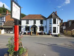 The Plough Inn | Surrey (kontluk) - Mole Valley - Dorking