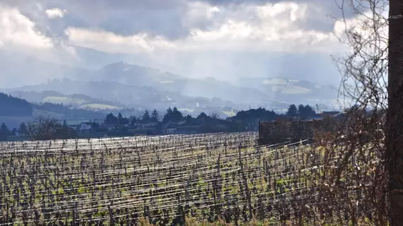 Le Clos du Cher en Beaujolais | Auvergne-Rhone-Alpes - Rhone (bölge) - Saint-Germain-Nuelles