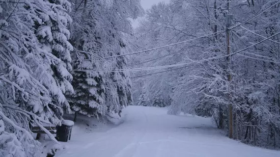 La Chaumiere de l' Anse | Quebec - Les Laurentides Regional County Belediyesi - Tremblant Dağı (ve civarı) - Mont-Tremblant