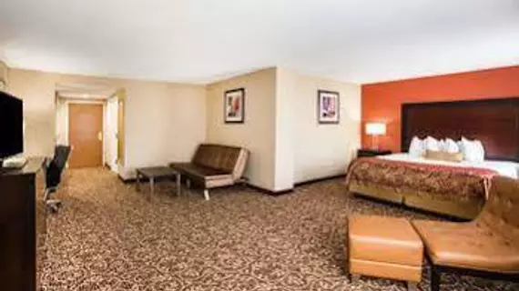 Wingate by Wyndham Atlanta Galleria | Georgia - Atlanta (ve civarı) - Atlanta - Cumberland