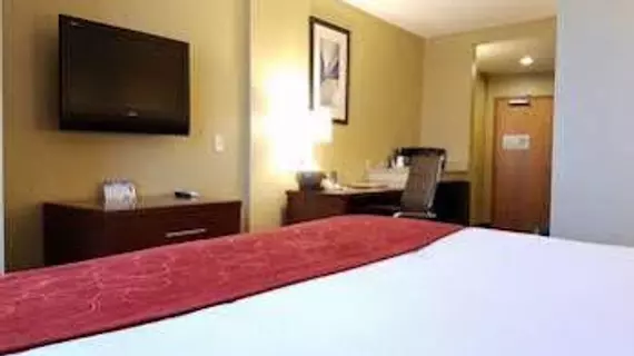 Comfort Suites Tampa Airport North | Florida - Tampa (ve civarı) - Tampa