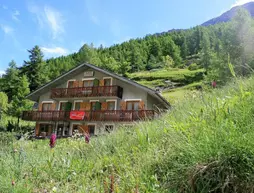 Maison Des Myrtilles | Valle d'Aosta - Valgrisenche