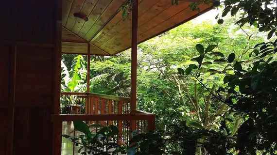 Rancho de Lelo Ecolodge and Sustainable Farm | Puntarenas (ili) - Monteverde