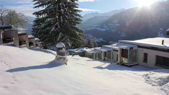 Leysin Lodge | Vaud Kantonu - Leysin