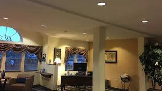 Microtel Inn & Suites by Wyndham Indianapolis Airport | Indiana - Indianapolis (ve civarı) - Indianapolis