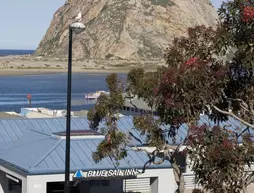 Blue Sail Inn | Kaliforniya - San Luis Obispo (ve civarı) - Morro Bay