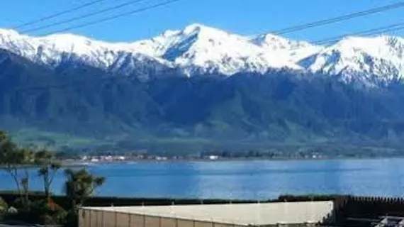 Inn the Bay Bed & Breakfast | Canterbury - Kaikoura (ve civarı) - Kaikoura