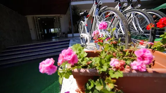 Punta Licosa | Campania - Salerno (il) - Castellabate - Ogliastro Marina