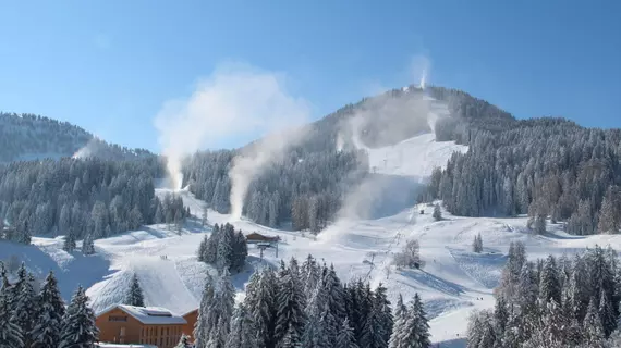 Naturhotel Taleu | Vorarlberg - Buerserberg