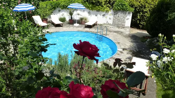 Albergo Giardino Hotel | Zala ili