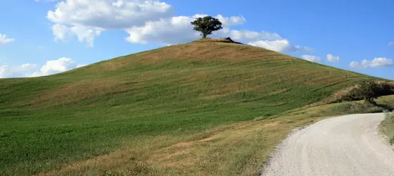 Agriturismo Bagnacci | Toskana - Siena (vilayet) - Montalcino