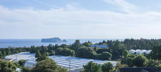 Fellisia | Jeju Adası - Seogwipo - Seogwipo Şehri