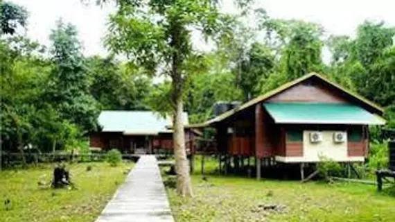 Bilit Adventure Lodge | Sabah - Kota Kinabatangan - Kampung Bilit