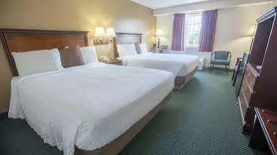 Rosebud Inn | Missouri - Branson (ve civarı) - Branson - Branson Theater District