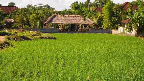 Saren Indah Hotel | Bali - Ubud