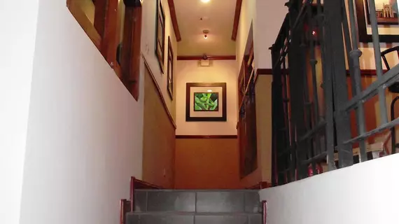 Boutique Hotel Calle 20 | Alajuela (ili) - San Jose (ve civarı) - San Jose