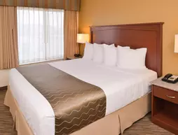 Best Western Executive Inn & Suites | Kolorado - Colorado Springs (ve civarı) - Colorado Springs