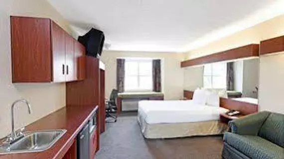 Microtel Inn & Suites by Wyndham Perimeter Center | Georgia - Atlanta (ve civarı) - Atlanta - Sandy Springs