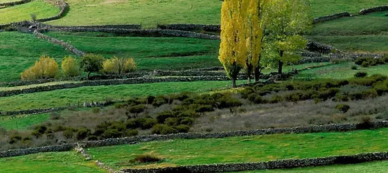 El Milano Real | Kastilya ve Leon - Avila (vilayet) - Hoyos del Espino