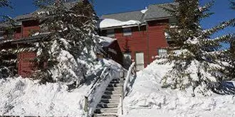 Snowshoe Treetop