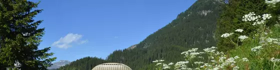 InterContinental Davos | Maloja District - Graubuenden - Davos