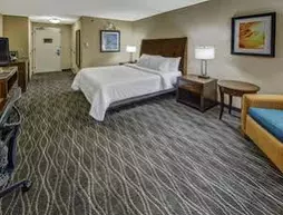 Hilton Garden Inn Houston/Bush Intercontinental Airport | Teksas - Houston (ve civarı) - Houston