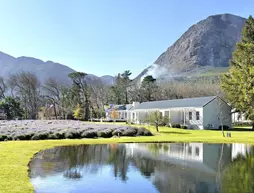 Lavender Farm Guest House | Western Cape (il) - West Coast DC - Drakenstein - Cape Town (ve civarı) - Franschhoek