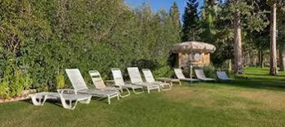 1260 East San Bernardino Ave | Kaliforniya - Lake Tahoe (ve civarı) - South Lake Tahoe