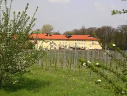 Steigenberger Hotel Deidesheim | Rhineland-Palatinate - Deidesheim