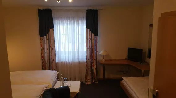 Hotel Münsterer Hof | Rhineland-Palatinate - Muenster-Sarmsheim