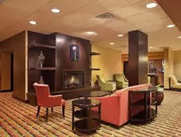 Holiday Inn Grand Rapids Downtown | Michigan - Grand Rapids (ve civarı) - Grand Rapids