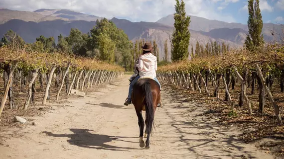 Grace Cafayate | Salta (ili) - Cafayate