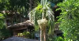 Laluna Bungalows & Restaurant | Koh Kong - Sihanoukville (ve civarı) - Sihanoukville - Mittakpheap