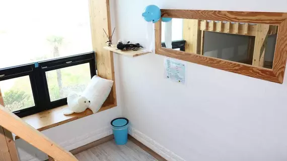 Toggisum Guest House | Jeju Adası - Jeju - Gujwa