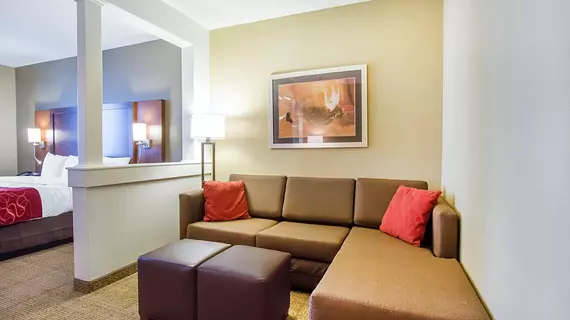 COMFORT SUITES ABILENE | Teksas - Abilene (ve civarı) - Abilene