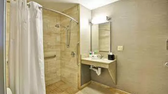 Holiday Inn Express Romulus / Detroit Airport | Michigan - Detroit (ve civarı) - Romulus